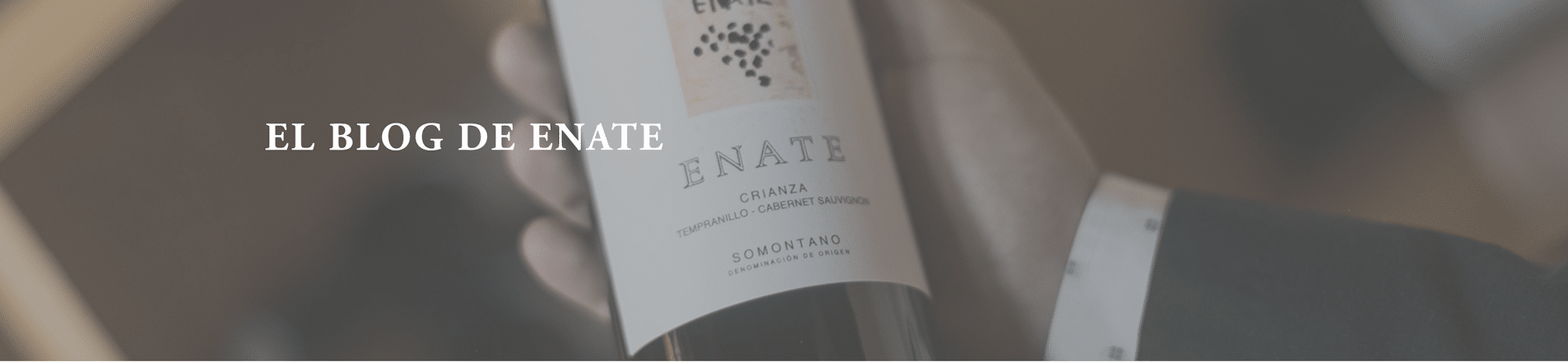 Entrevista en el Blog de Enate